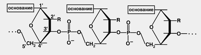 nedug.ru