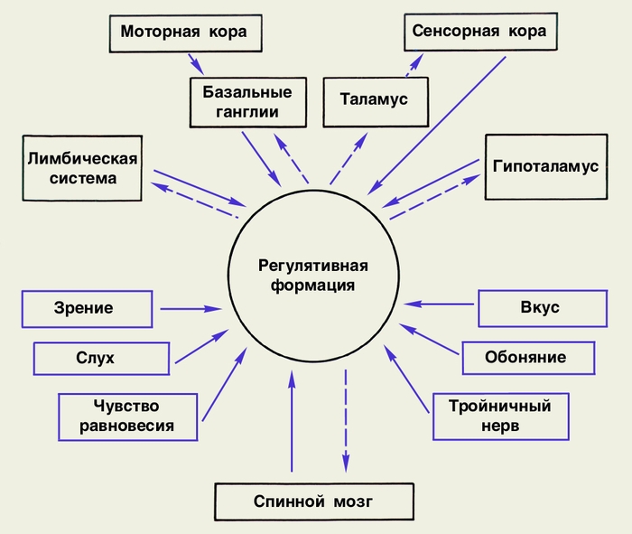 nedug.ru