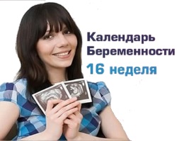 16 неделя. Можно ощутить шевеления