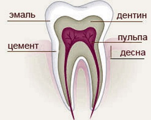 Натуральный цвет зубов. Как определить первозданную белизну?