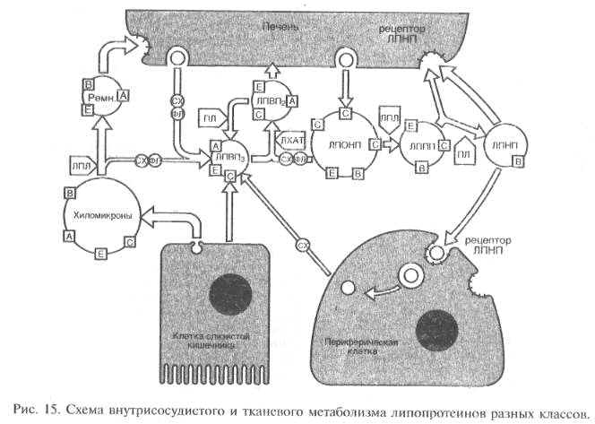 11-9.jpg (40125 bytes)