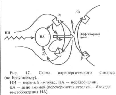 11-94.jpg (16686 bytes)